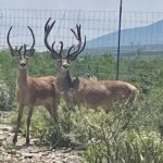 México pierde terreno en el turismo mundial